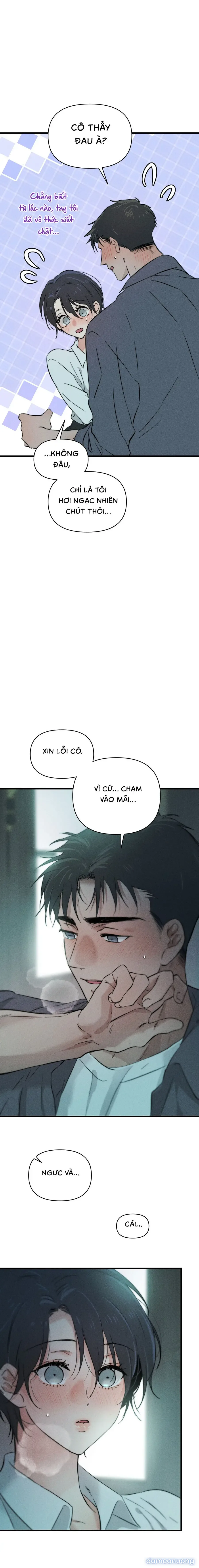 Những Ngày Cỏ Ba Lá 