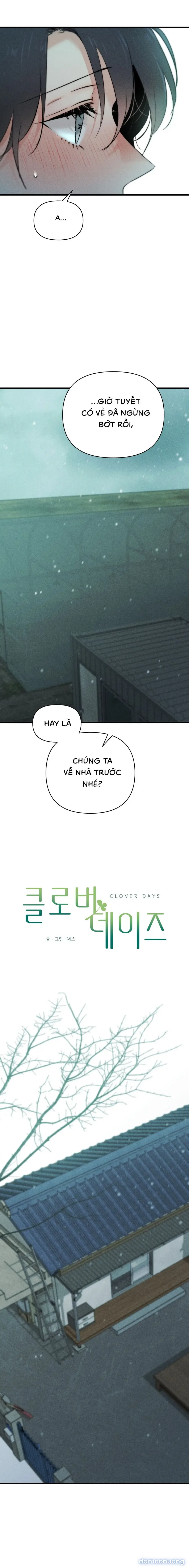 Những Ngày Cỏ Ba Lá 