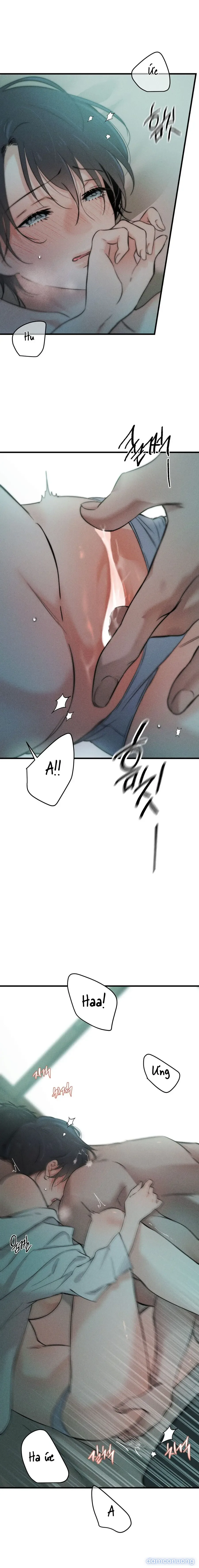 Những Ngày Cỏ Ba Lá 