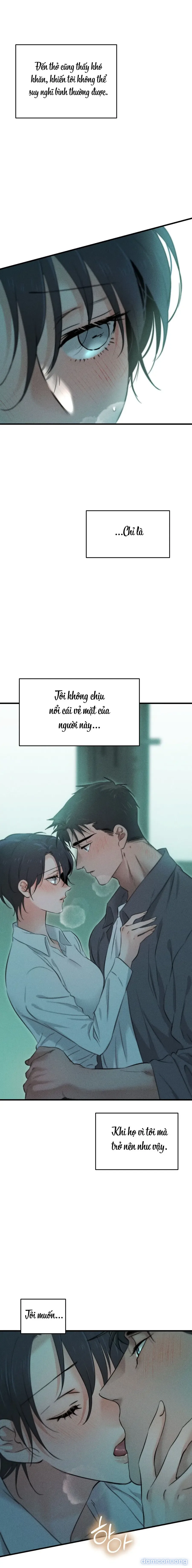 Những Ngày Cỏ Ba Lá 
