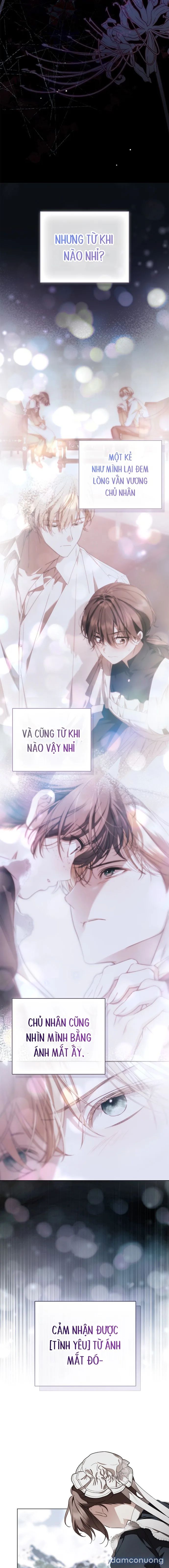 Nữ Hầu Bí Mật Của Nhà Bá Tước 