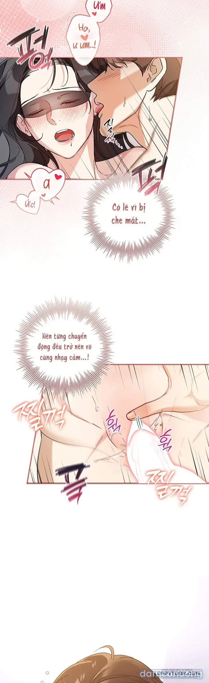 Mối Tình Thủy Chung 