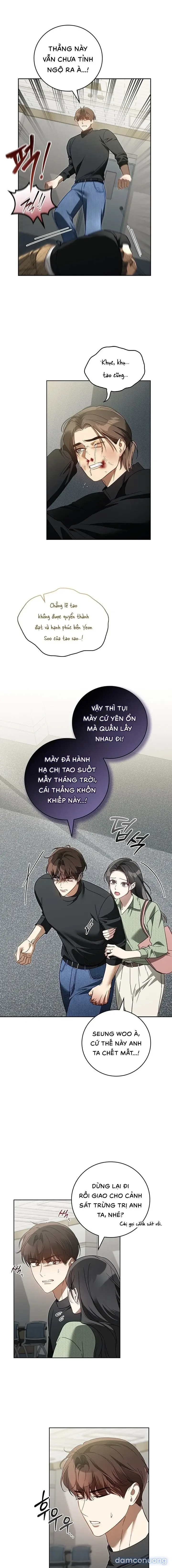 Mối Tình Thủy Chung 