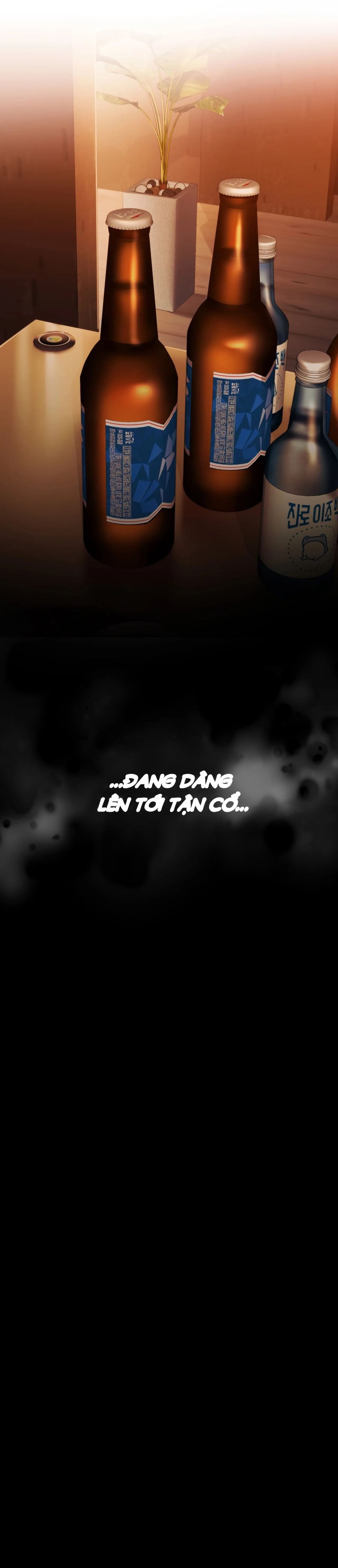 Kể từ hôm nay, bias của tôi là... 