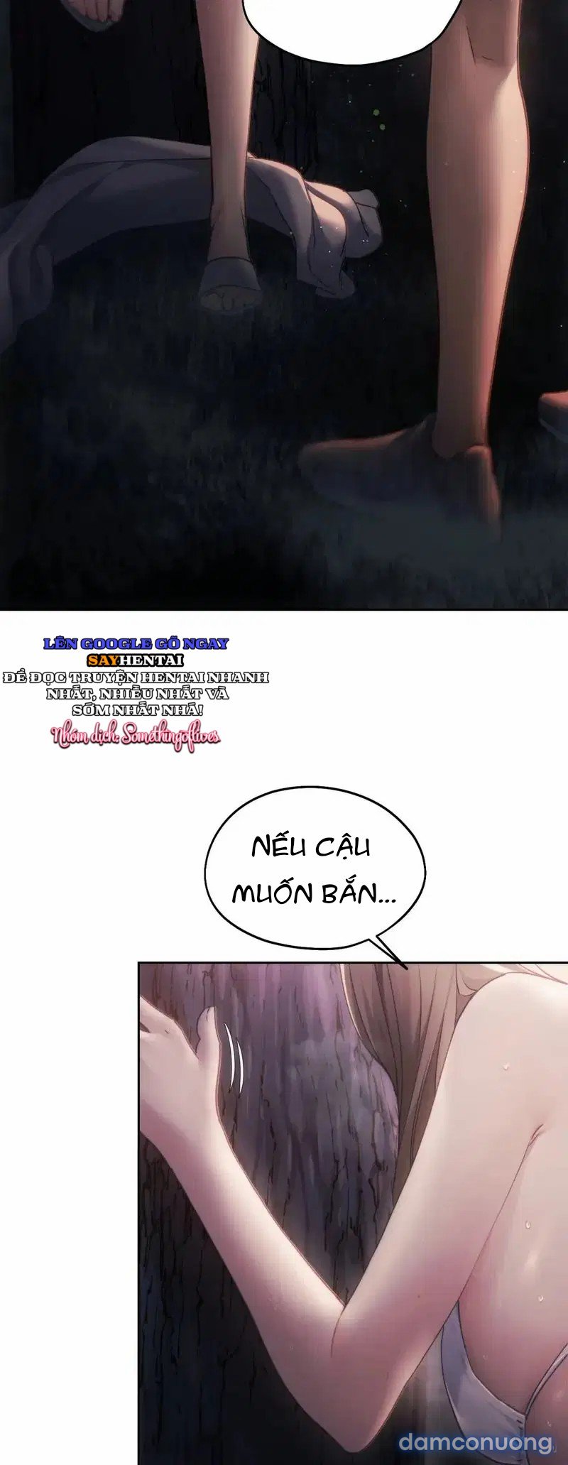 Kể từ hôm nay, bias của tôi là... 