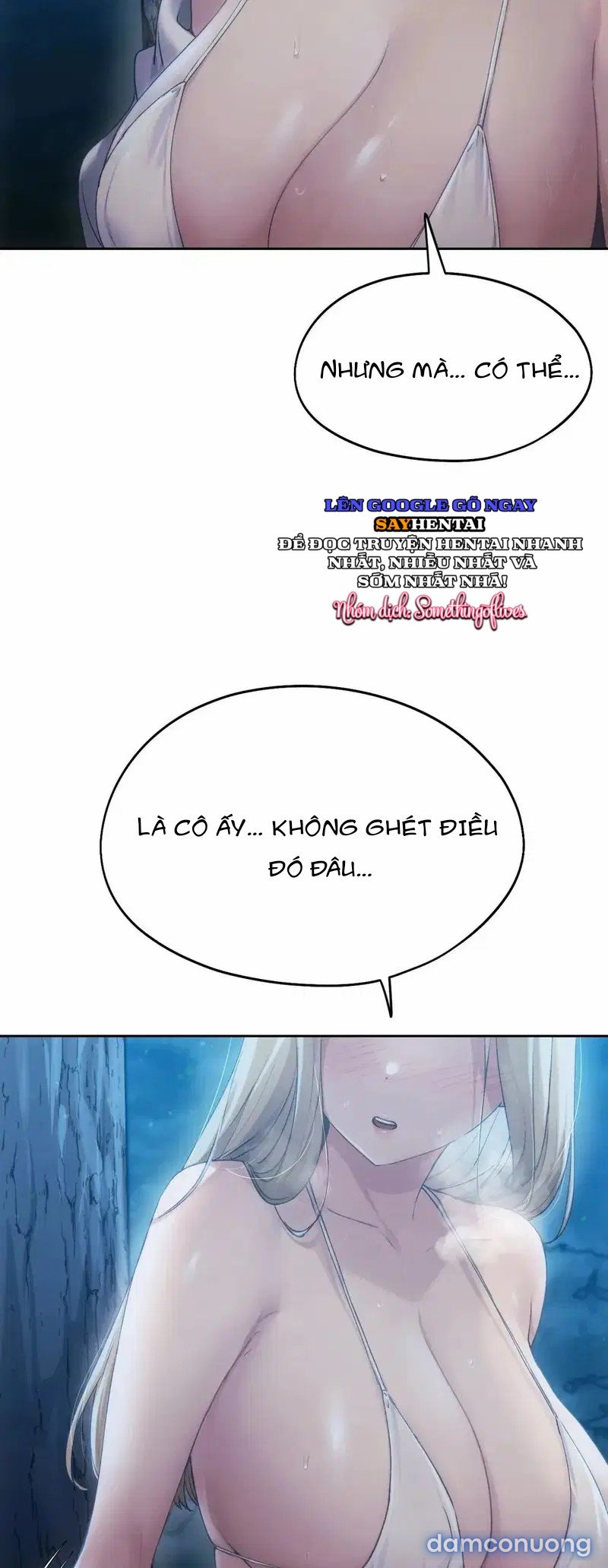 Kể từ hôm nay, bias của tôi là... 
