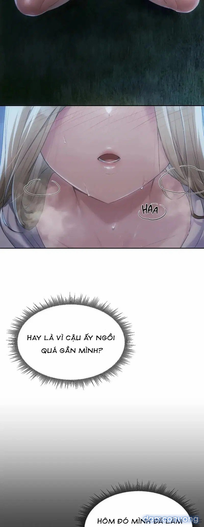 Kể từ hôm nay, bias của tôi là... 
