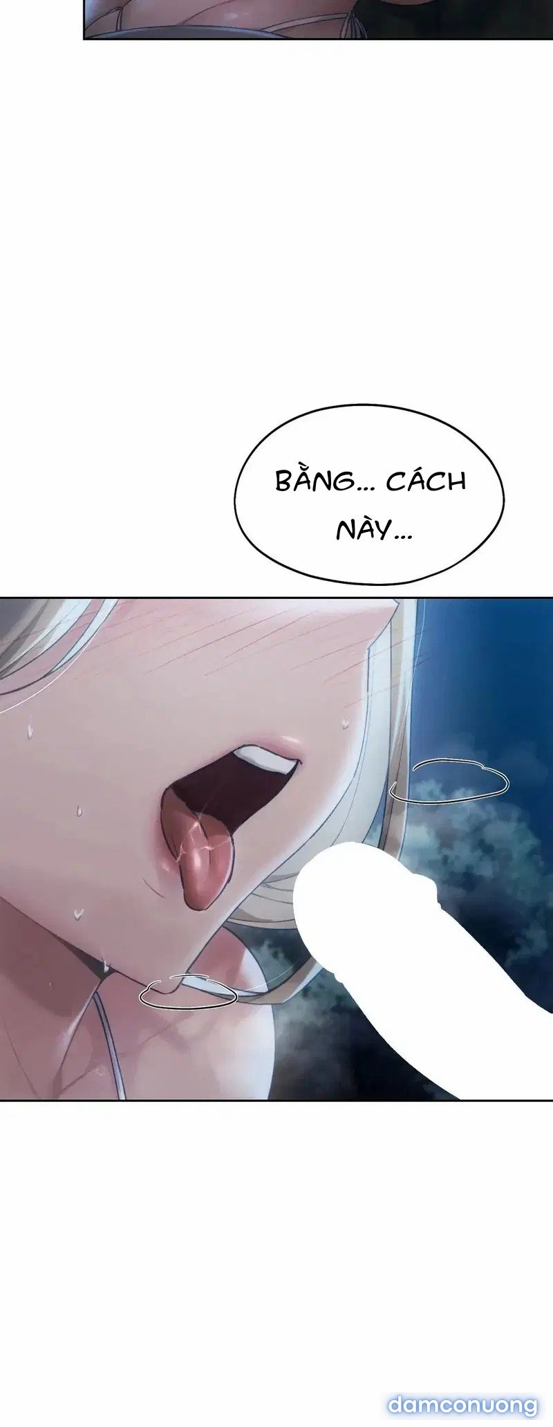 Kể từ hôm nay, bias của tôi là... 