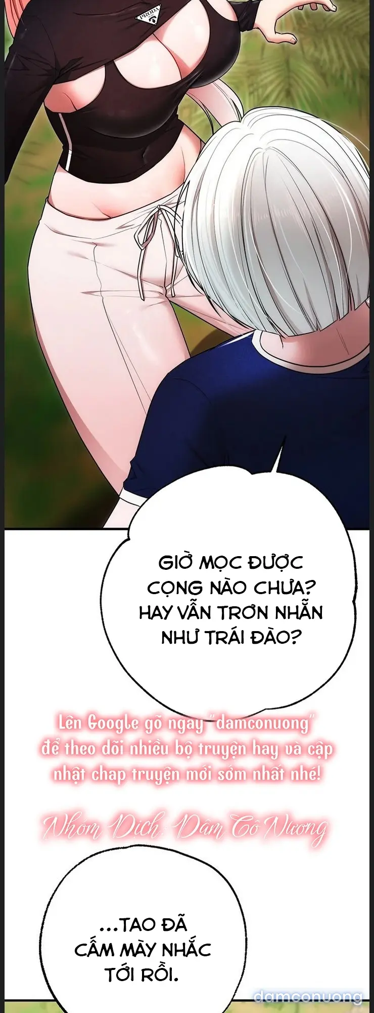 Bữa Tiệc Hoan Lạc Ngày Tốt Nghiệp 