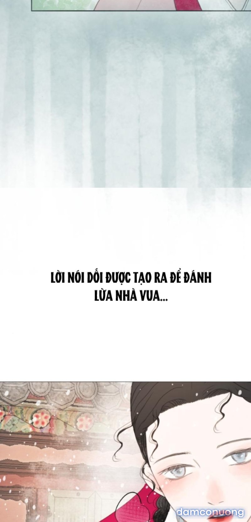 Chuyến Đi Đêm Cùng Nhà Vua 