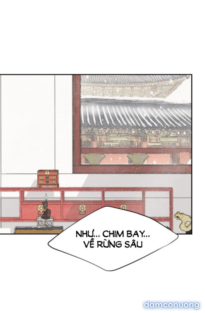 Chuyến Đi Đêm Cùng Nhà Vua 