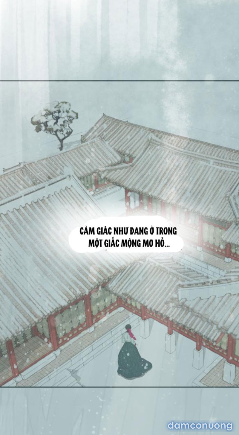 Chuyến Đi Đêm Cùng Nhà Vua 