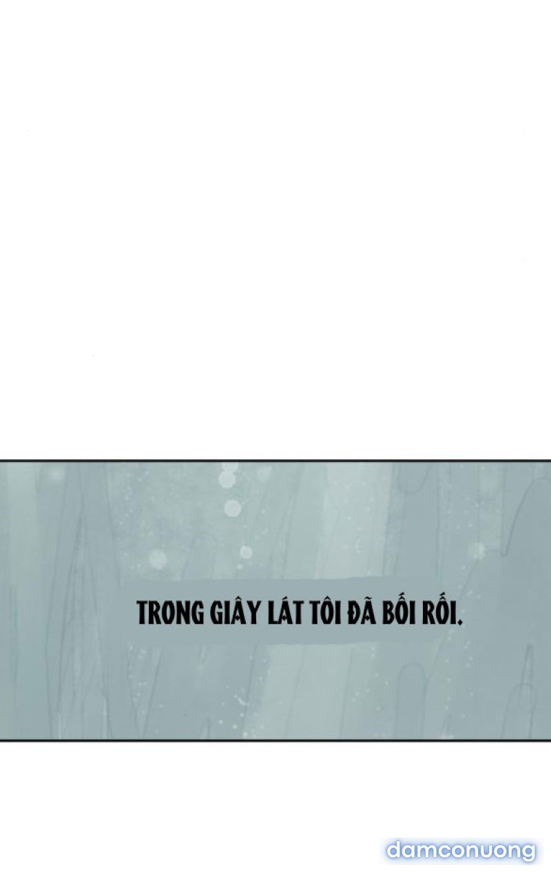 Chuyến Đi Đêm Cùng Nhà Vua 