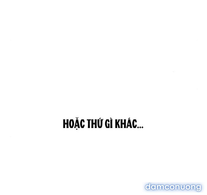 Chuyến Đi Đêm Cùng Nhà Vua 