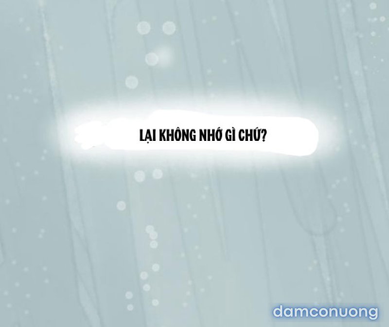 Chuyến Đi Đêm Cùng Nhà Vua 