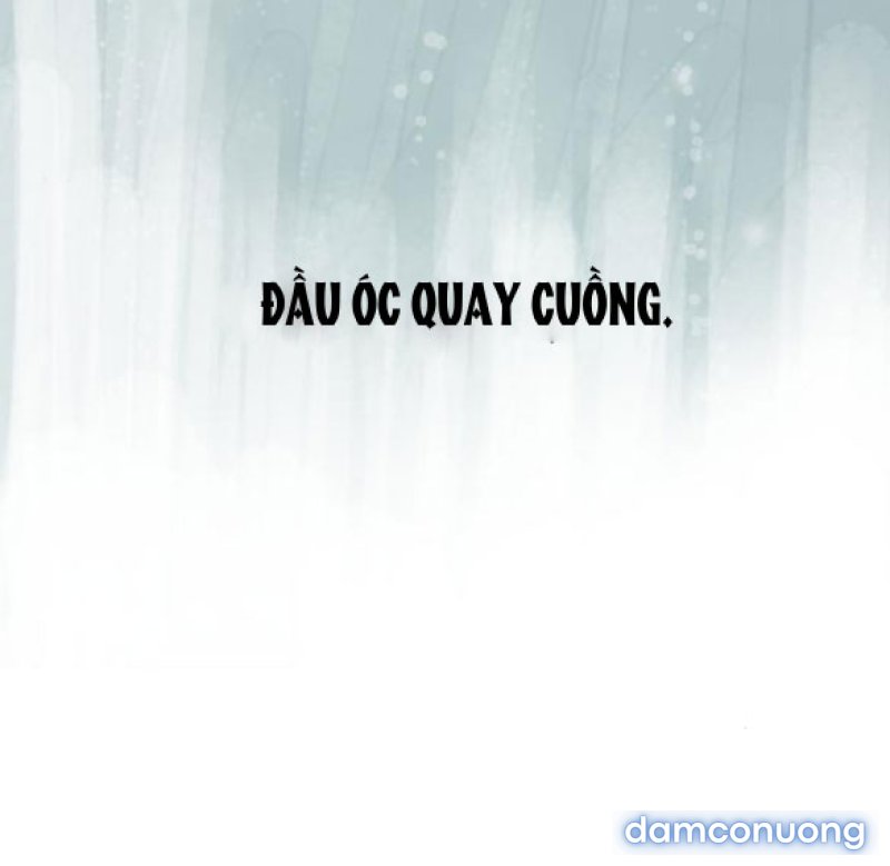 Chuyến Đi Đêm Cùng Nhà Vua 