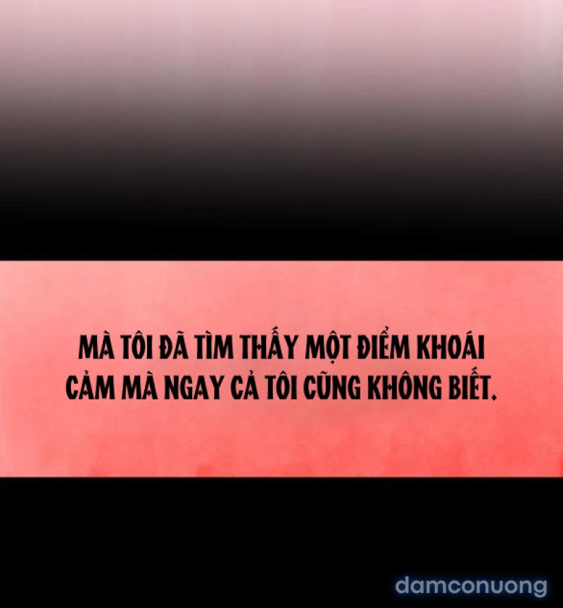 Chuyến Đi Đêm Cùng Nhà Vua 