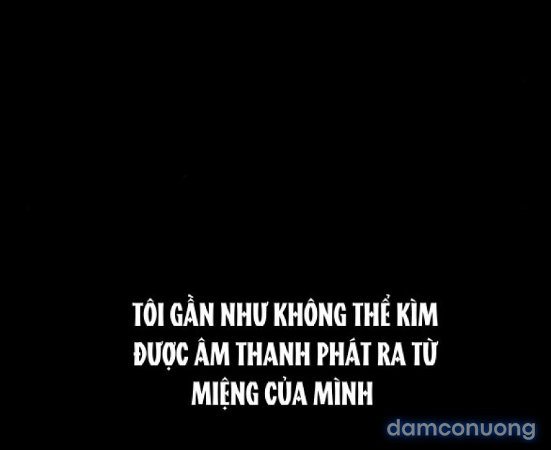 Chuyến Đi Đêm Cùng Nhà Vua 