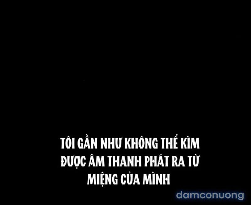Chuyến Đi Đêm Cùng Nhà Vua 