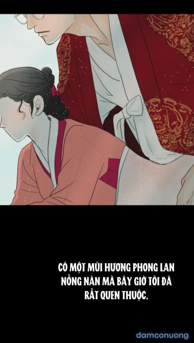 Chuyến Đi Đêm Cùng Nhà Vua 