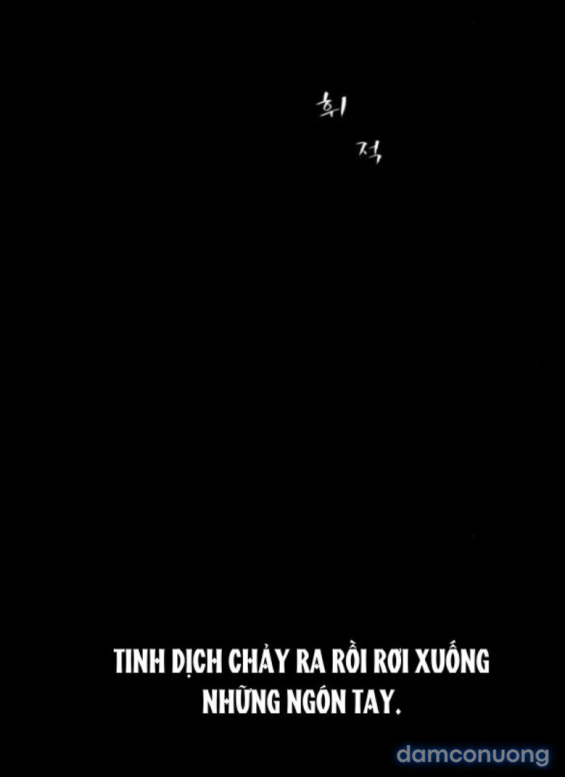 Chuyến Đi Đêm Cùng Nhà Vua 