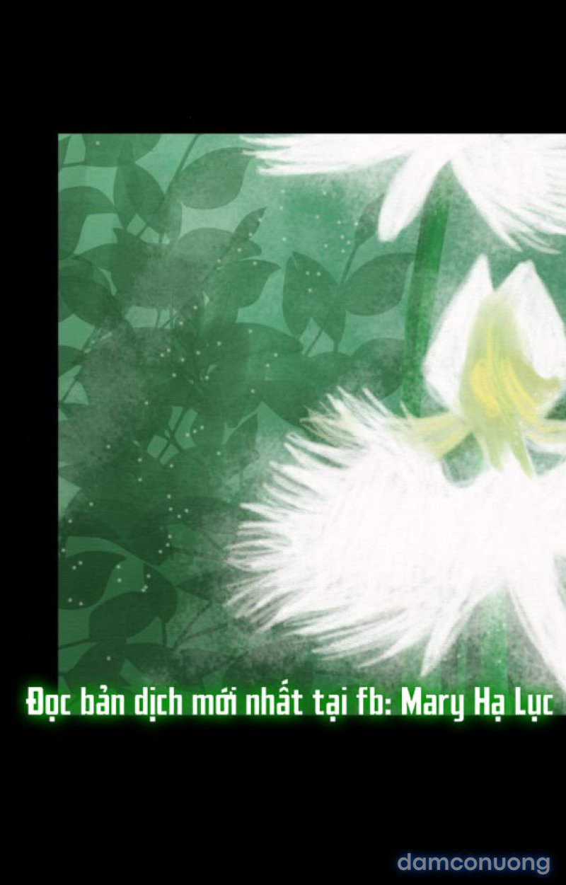 Chuyến Đi Đêm Cùng Nhà Vua 