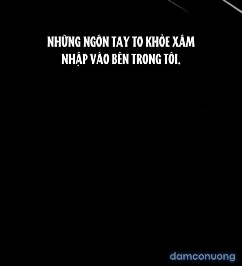Chuyến Đi Đêm Cùng Nhà Vua 