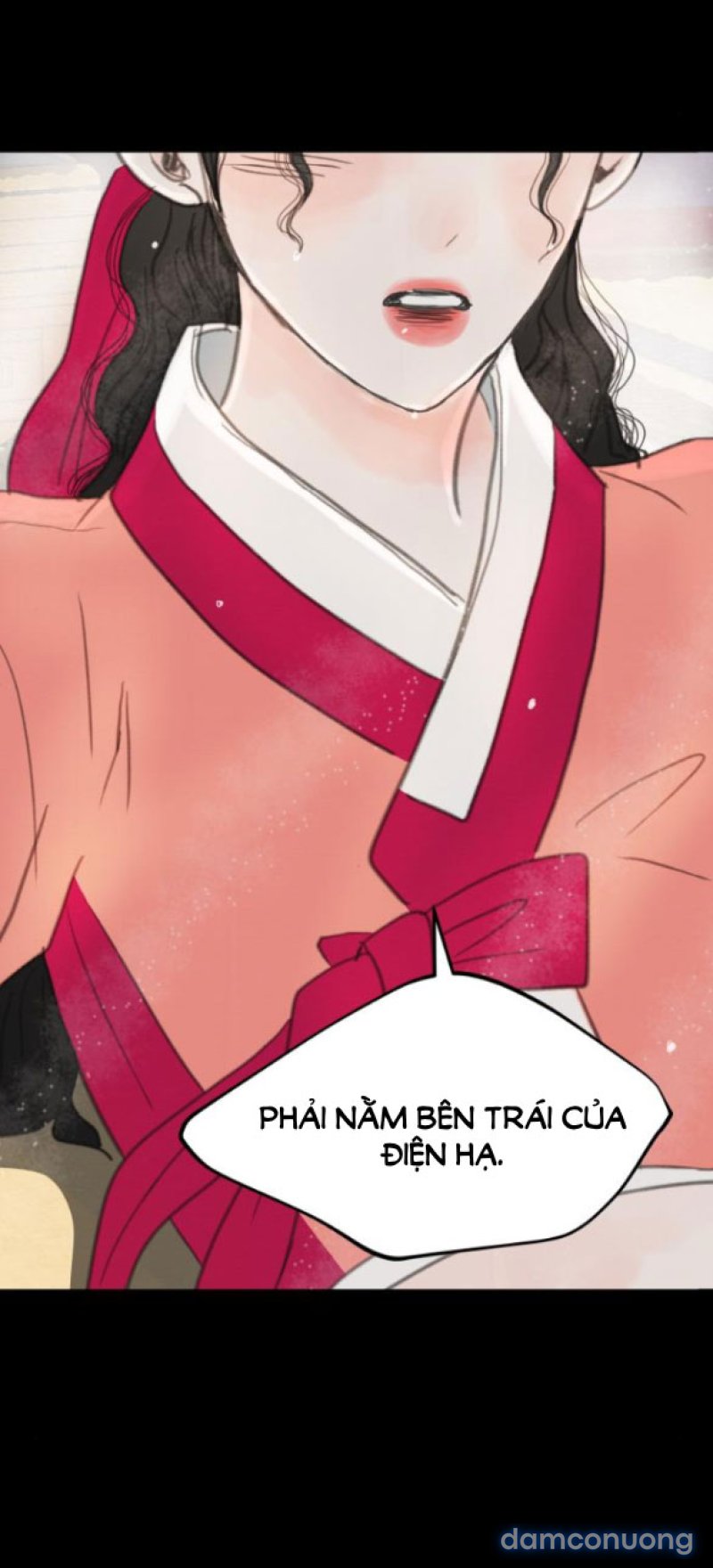 Chuyến Đi Đêm Cùng Nhà Vua 