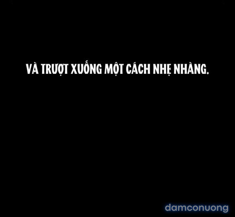 Chuyến Đi Đêm Cùng Nhà Vua 