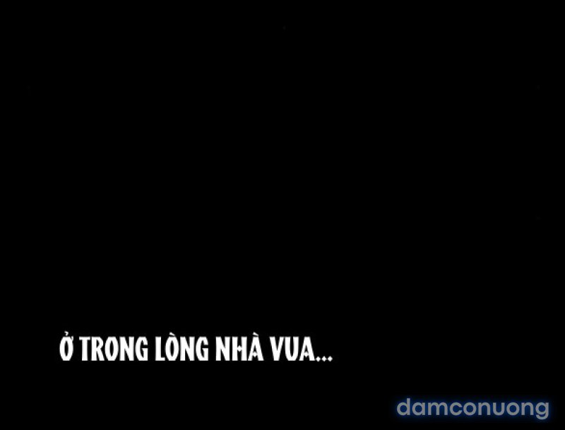 Chuyến Đi Đêm Cùng Nhà Vua 