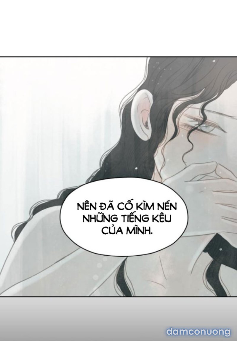 Chuyến Đi Đêm Cùng Nhà Vua 