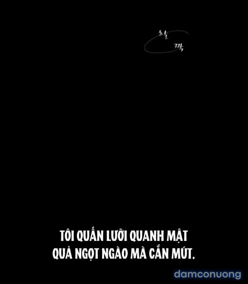 Chuyến Đi Đêm Cùng Nhà Vua 