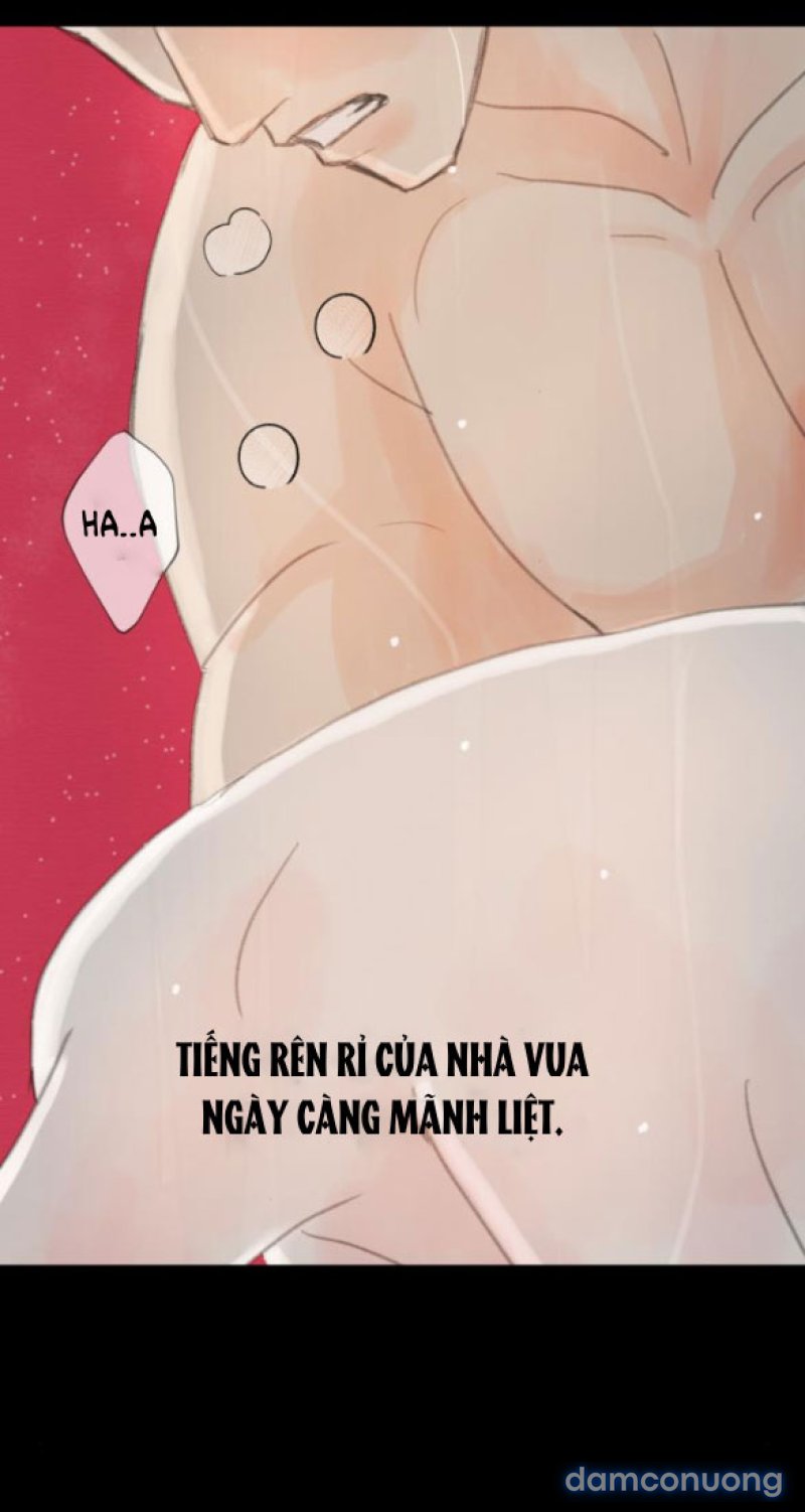 Chuyến Đi Đêm Cùng Nhà Vua 