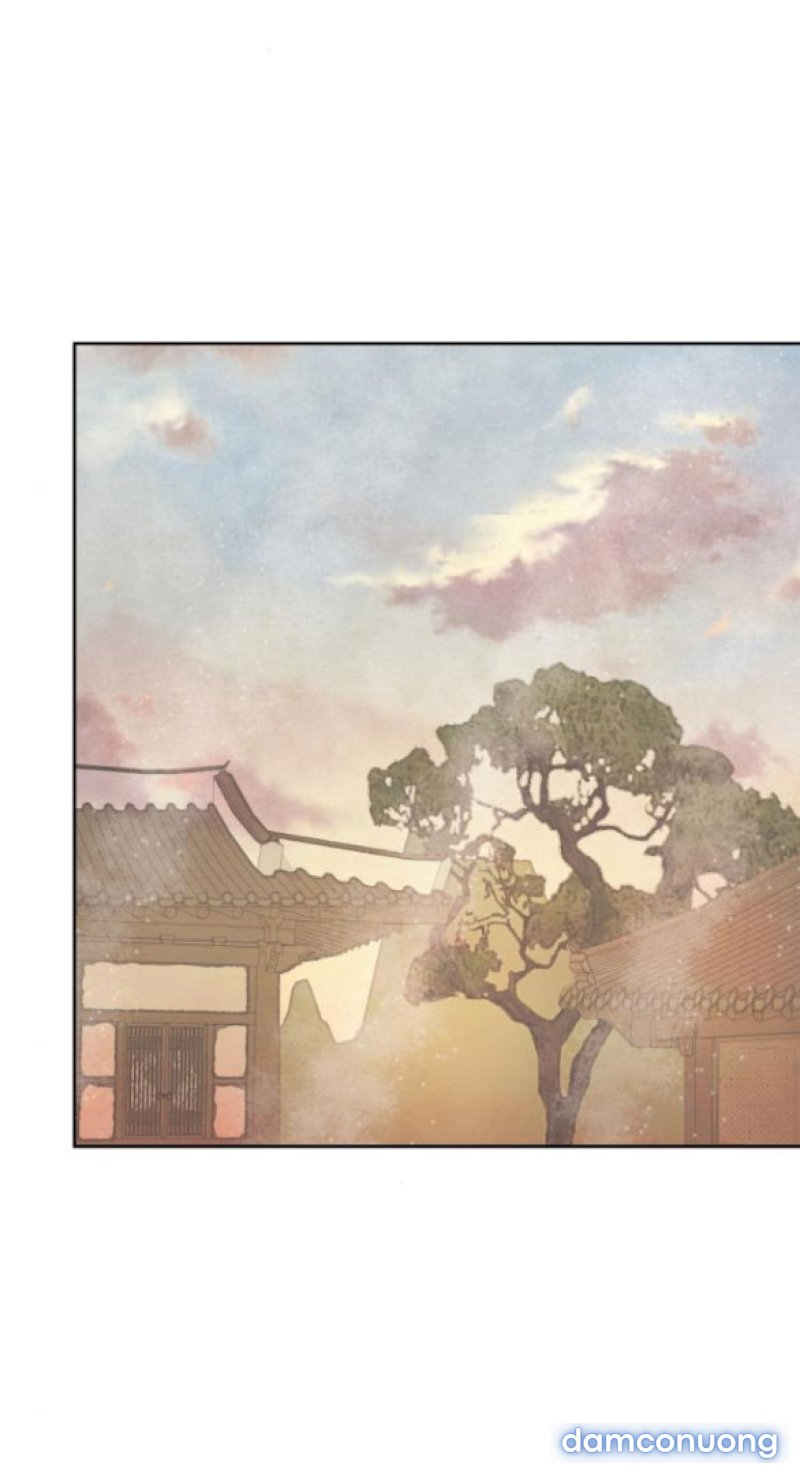 Chuyến Đi Đêm Cùng Nhà Vua 