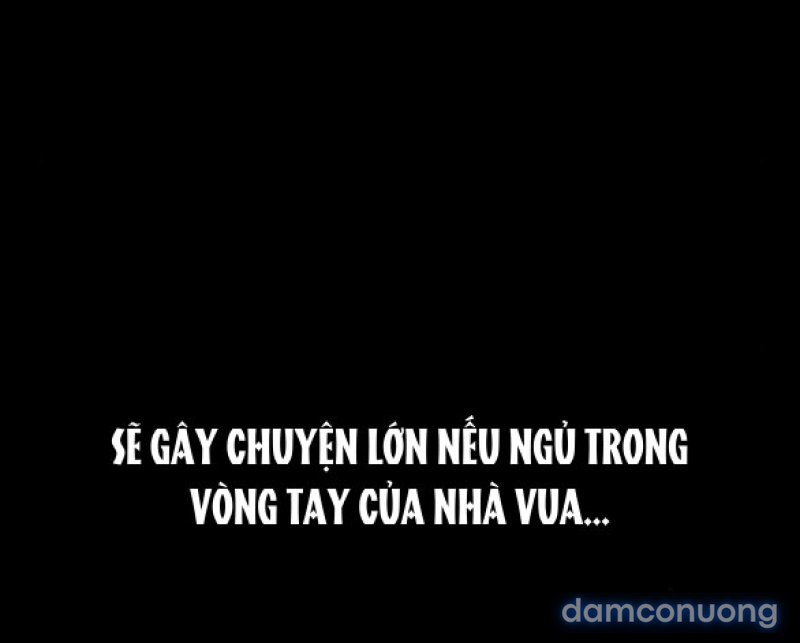 Chuyến Đi Đêm Cùng Nhà Vua 
