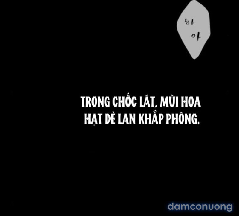 Chuyến Đi Đêm Cùng Nhà Vua 