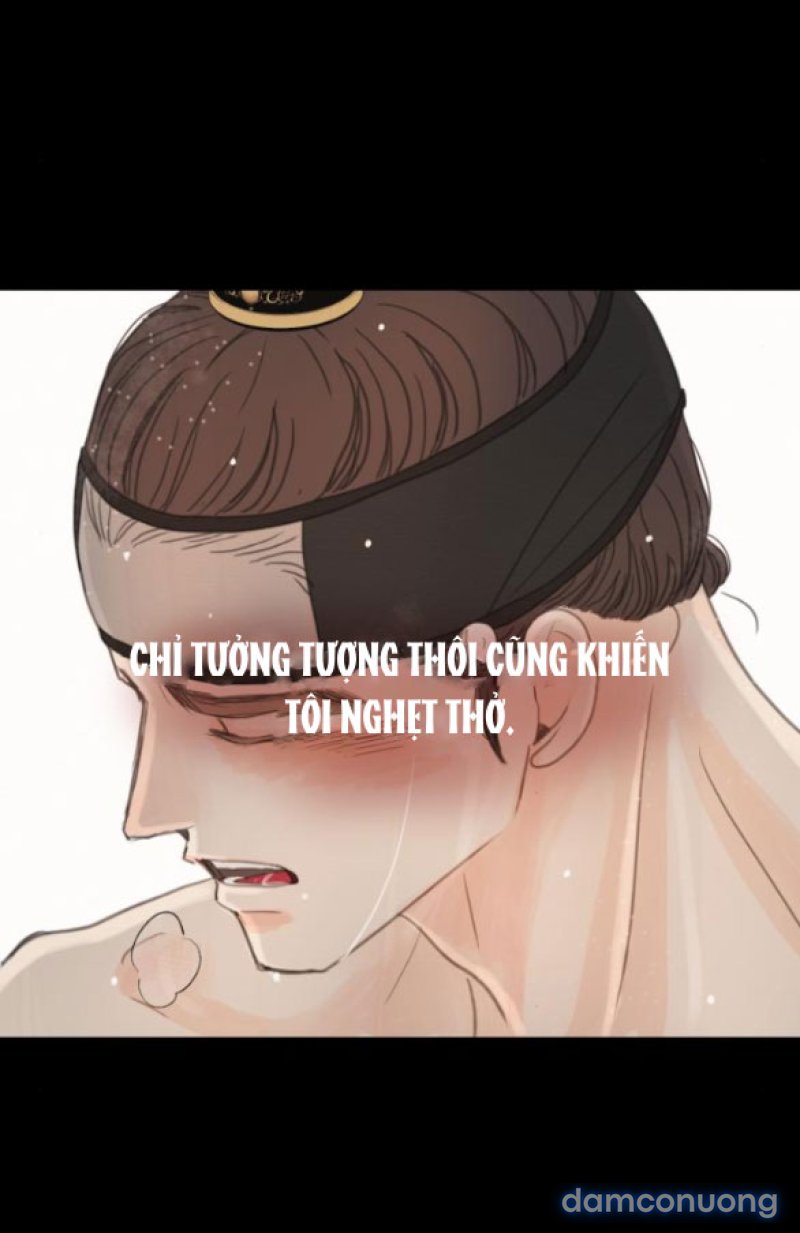 Chuyến Đi Đêm Cùng Nhà Vua 