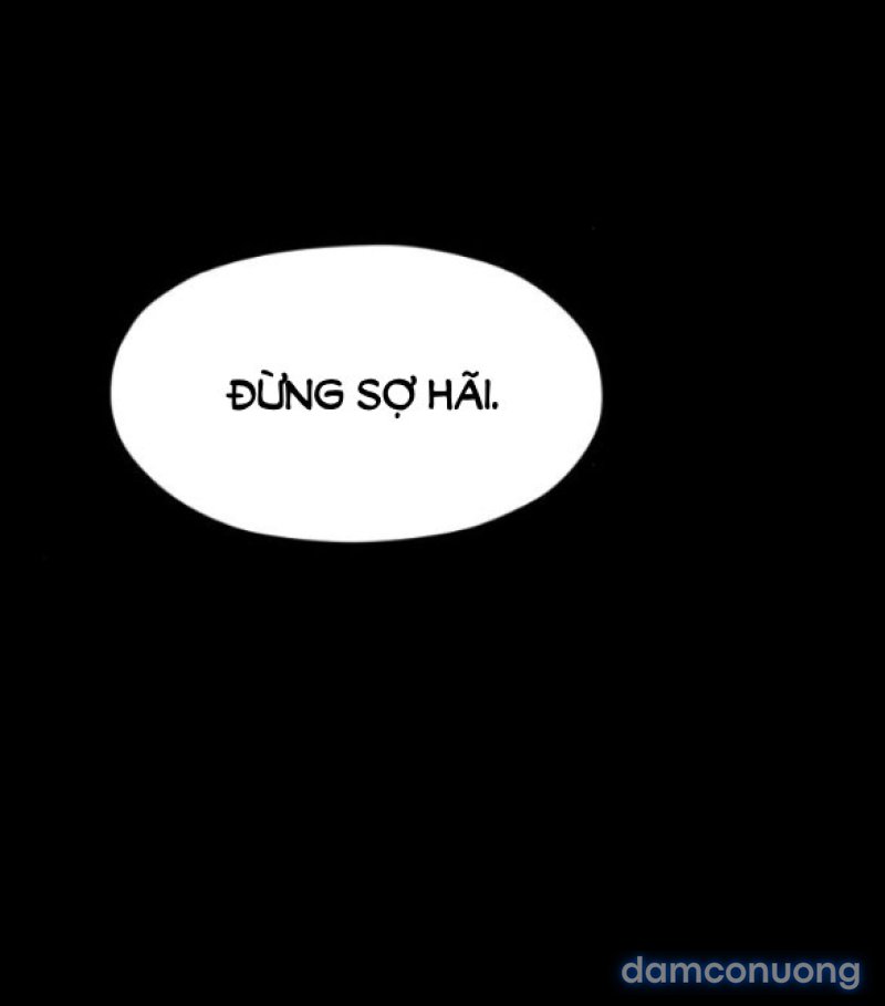 Chuyến Đi Đêm Cùng Nhà Vua 