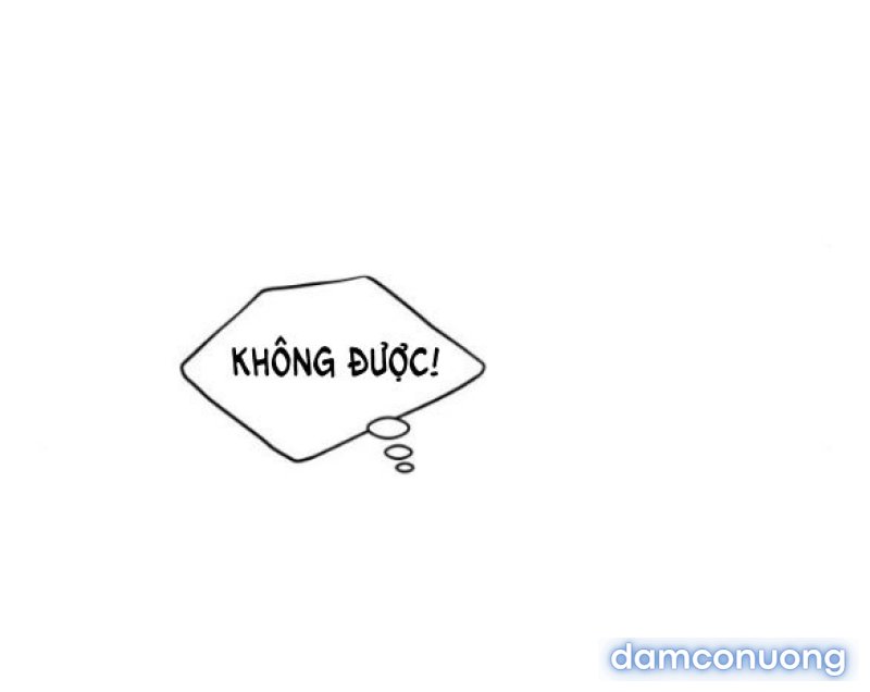 Chuyến Đi Đêm Cùng Nhà Vua 