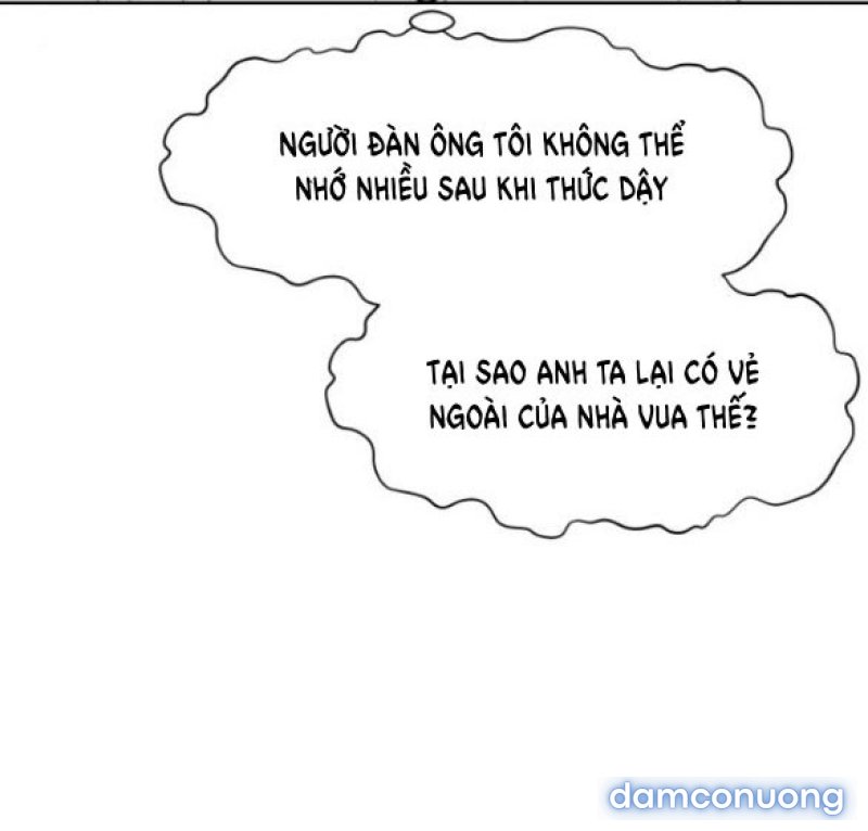 Chuyến Đi Đêm Cùng Nhà Vua 