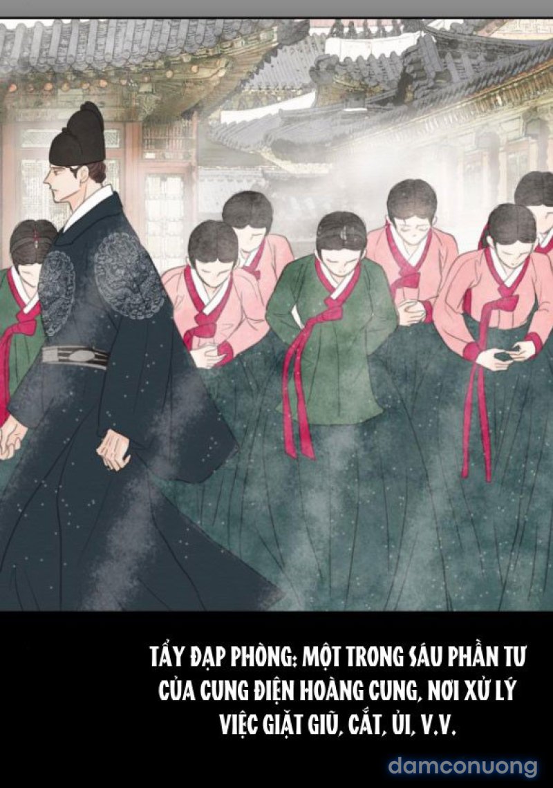 Chuyến Đi Đêm Cùng Nhà Vua 