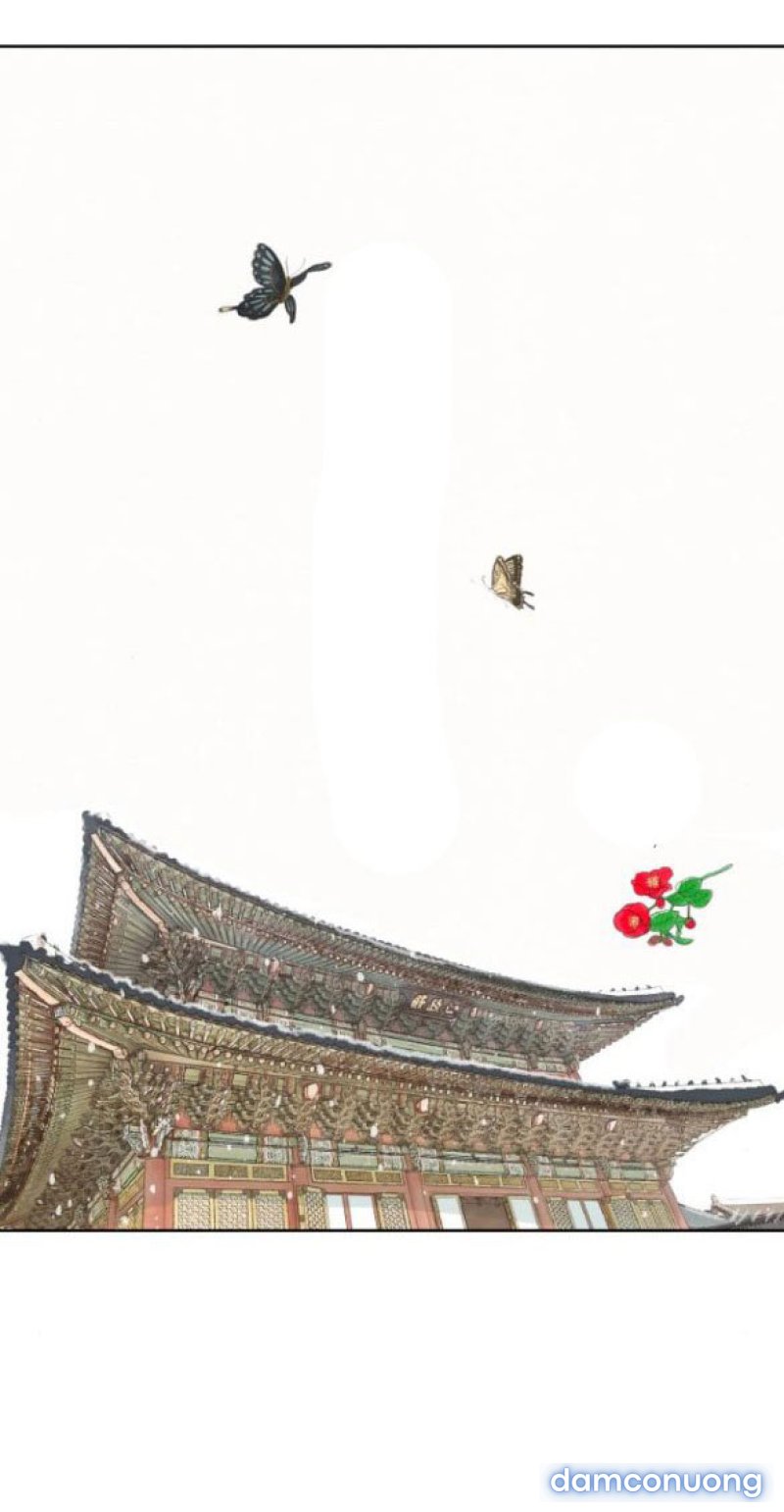 Chuyến Đi Đêm Cùng Nhà Vua 