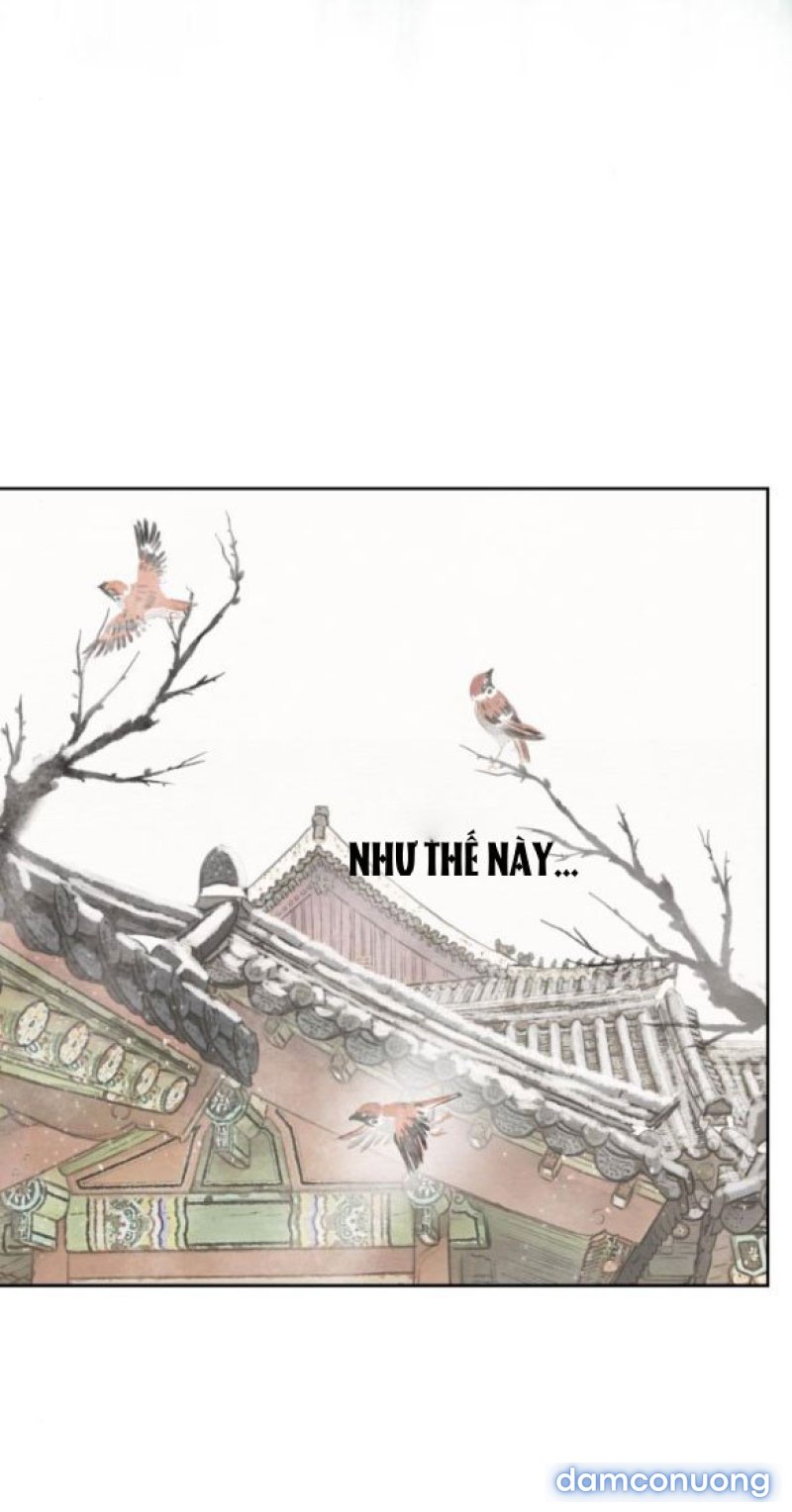 Chuyến Đi Đêm Cùng Nhà Vua 