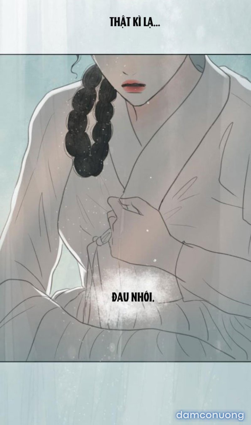 Chuyến Đi Đêm Cùng Nhà Vua 