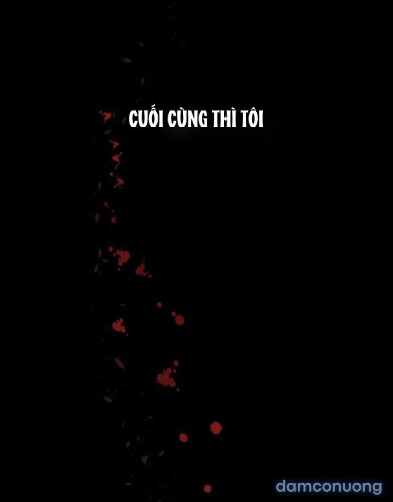 Chuyến Đi Đêm Cùng Nhà Vua 