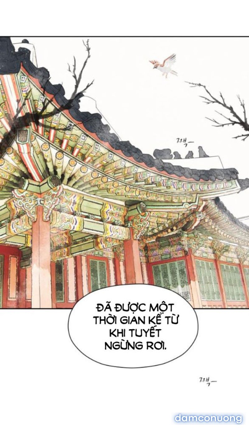 Chuyến Đi Đêm Cùng Nhà Vua 