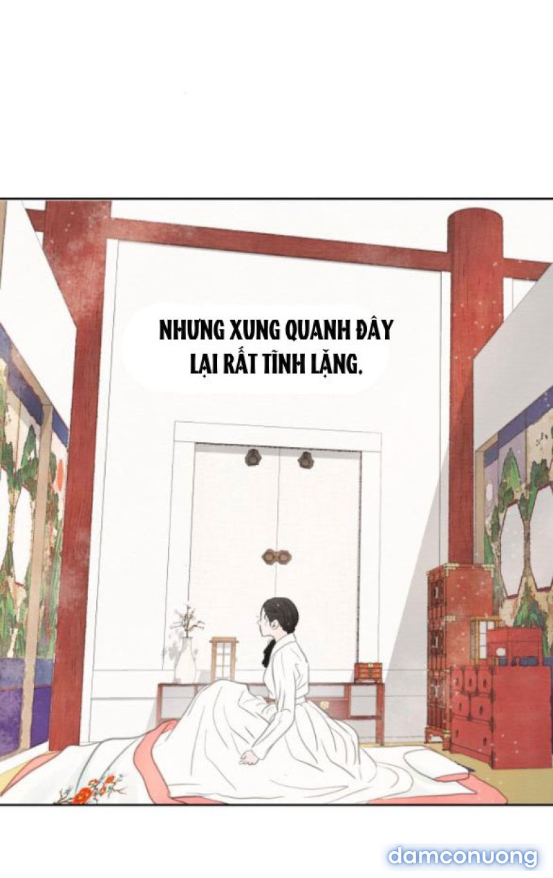 Chuyến Đi Đêm Cùng Nhà Vua 