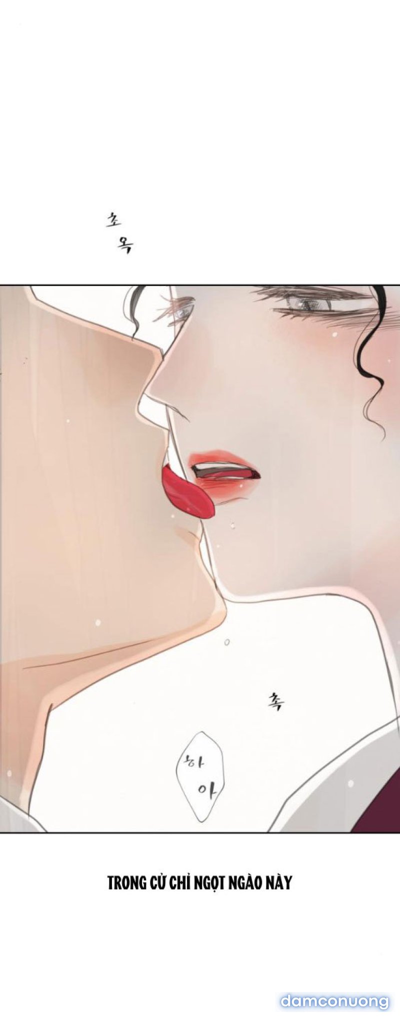 Chuyến Đi Đêm Cùng Nhà Vua 