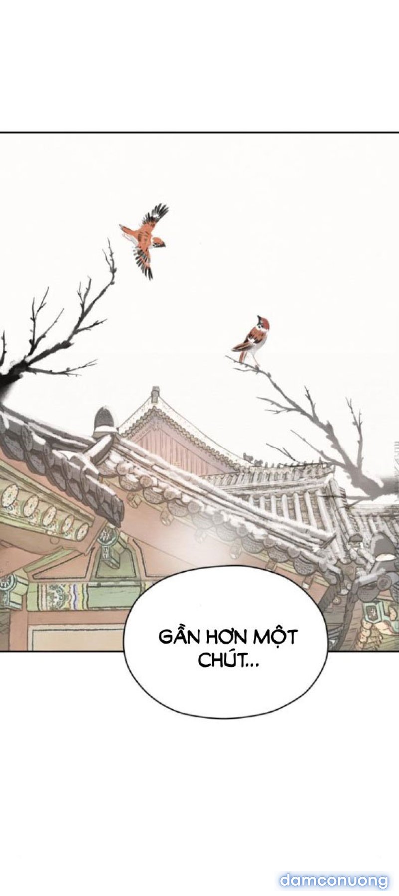 Chuyến Đi Đêm Cùng Nhà Vua 