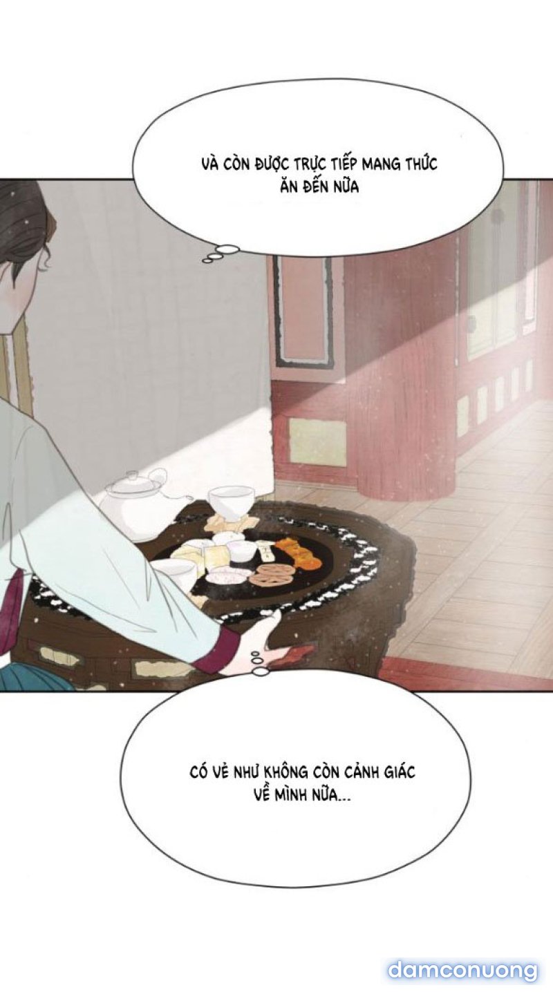 Chuyến Đi Đêm Cùng Nhà Vua 